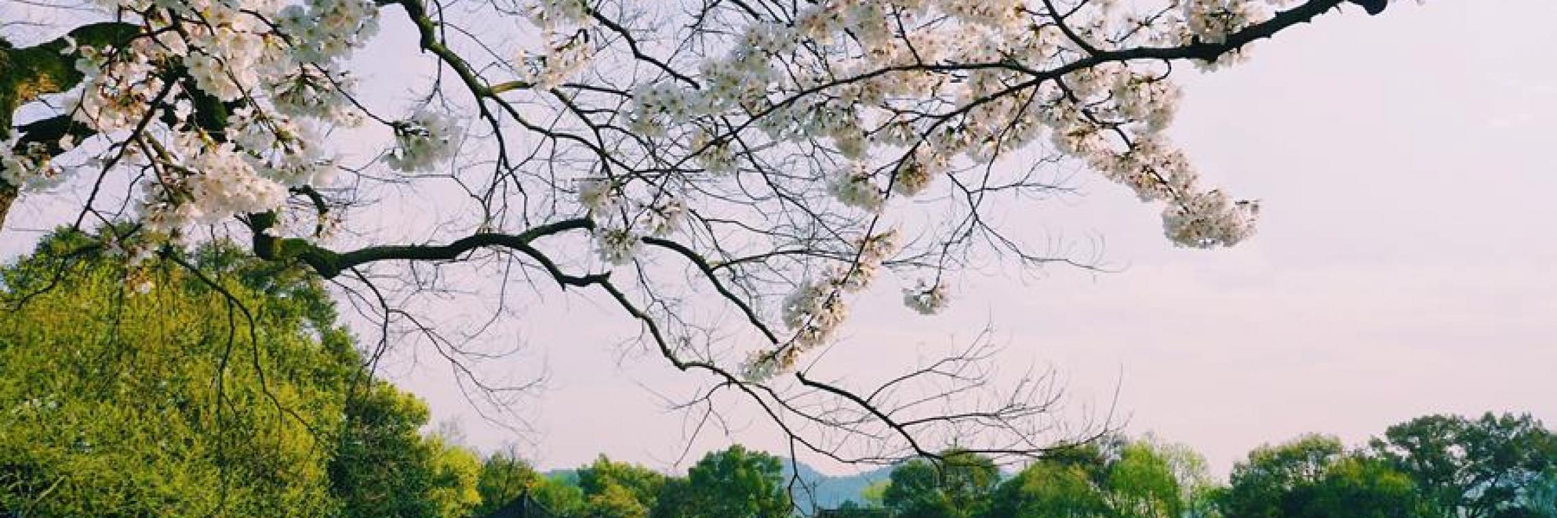 West Lake Hangzhou