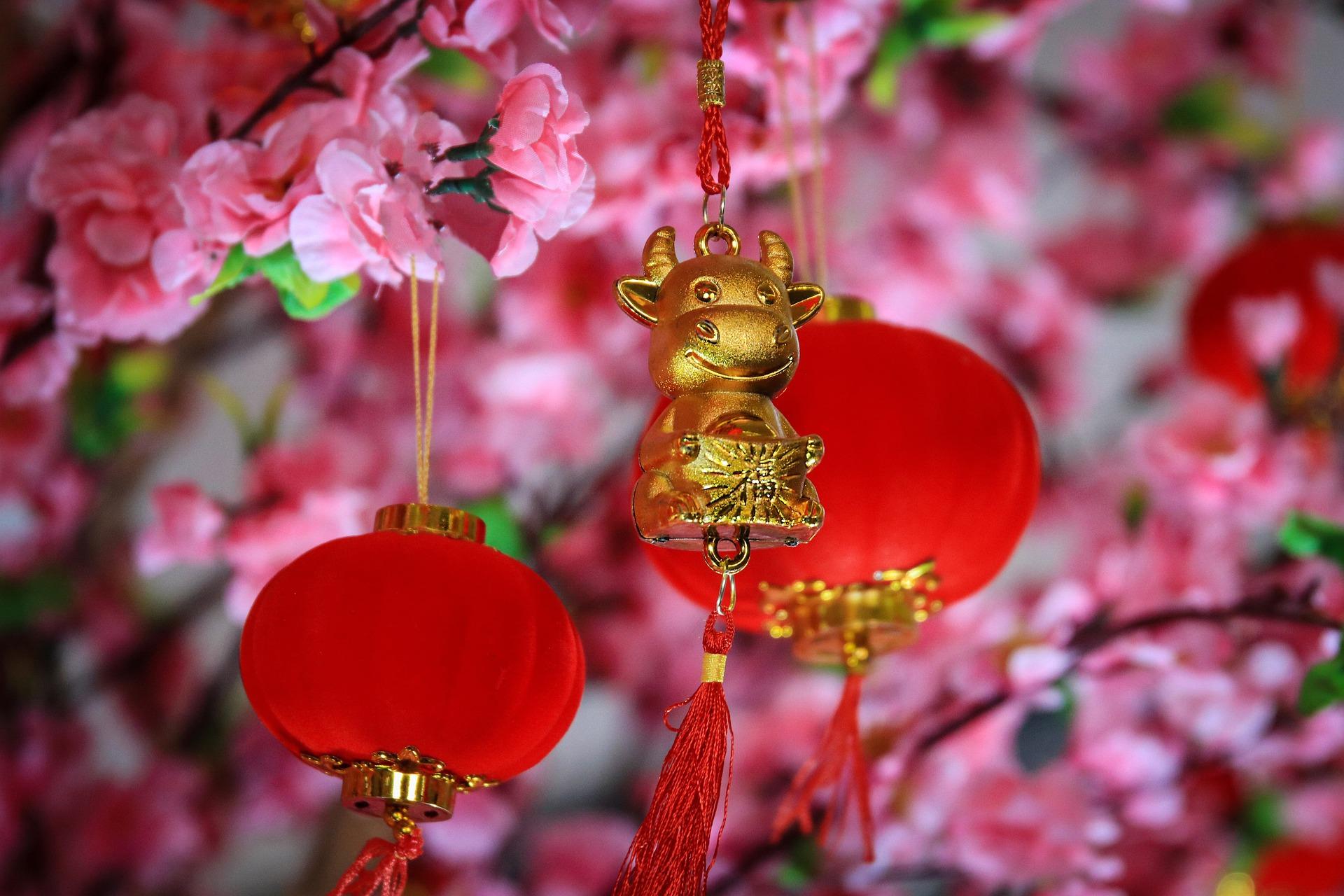 chinese lantern